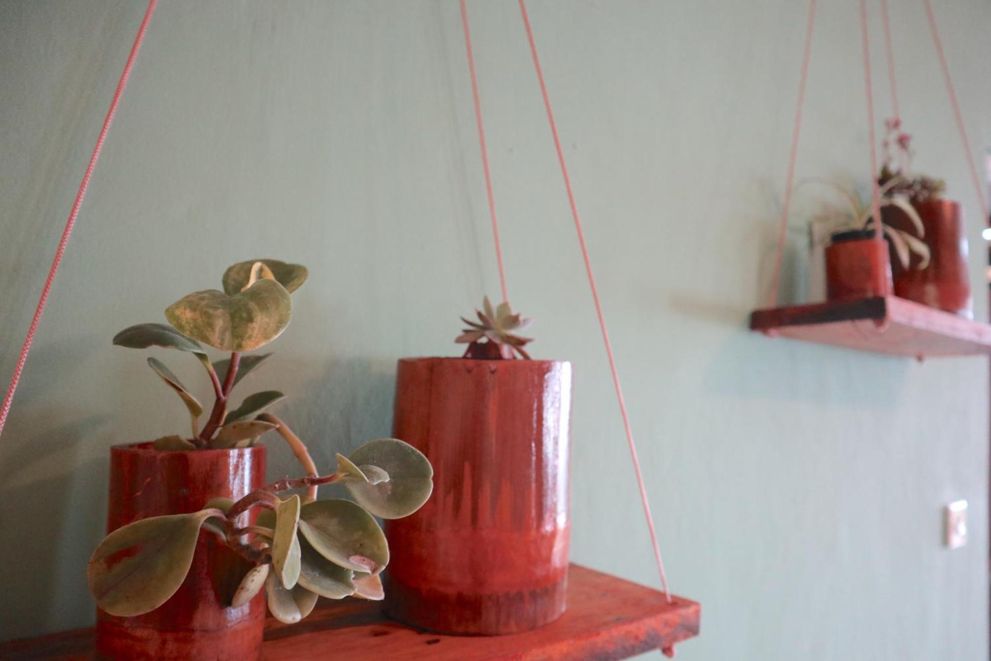 Manulalu B&B Bajawa ภายนอก รูปภาพ